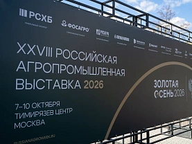 Первый день «Золотой осени — 2026»: на стенде ФГБУ «ВНИИЗЖ» — наука, игры и интерактив