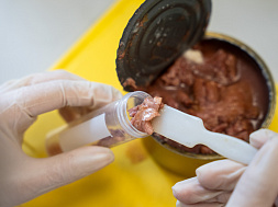 В Саратовской лаборатории ФГБУ «ВНИИЗЖ» проверили 49 образцов мясных консервов